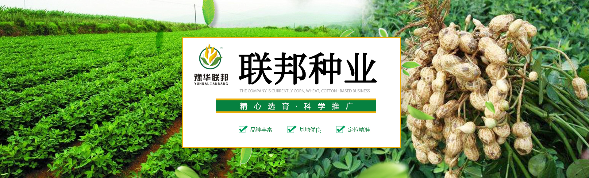 河南联邦种业有限公司
