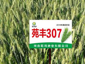 苑丰307