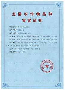 联邦2号审定证书