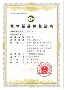 联邦4号植物新品种权证书